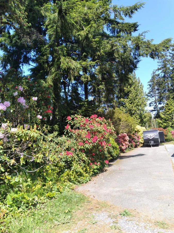 Dolphin Motel Tofino Bagian luar foto