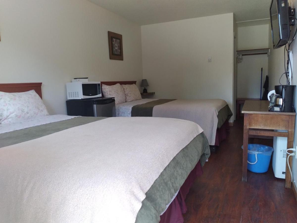 Dolphin Motel Tofino Bagian luar foto