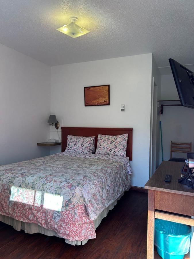 Dolphin Motel Tofino Bagian luar foto