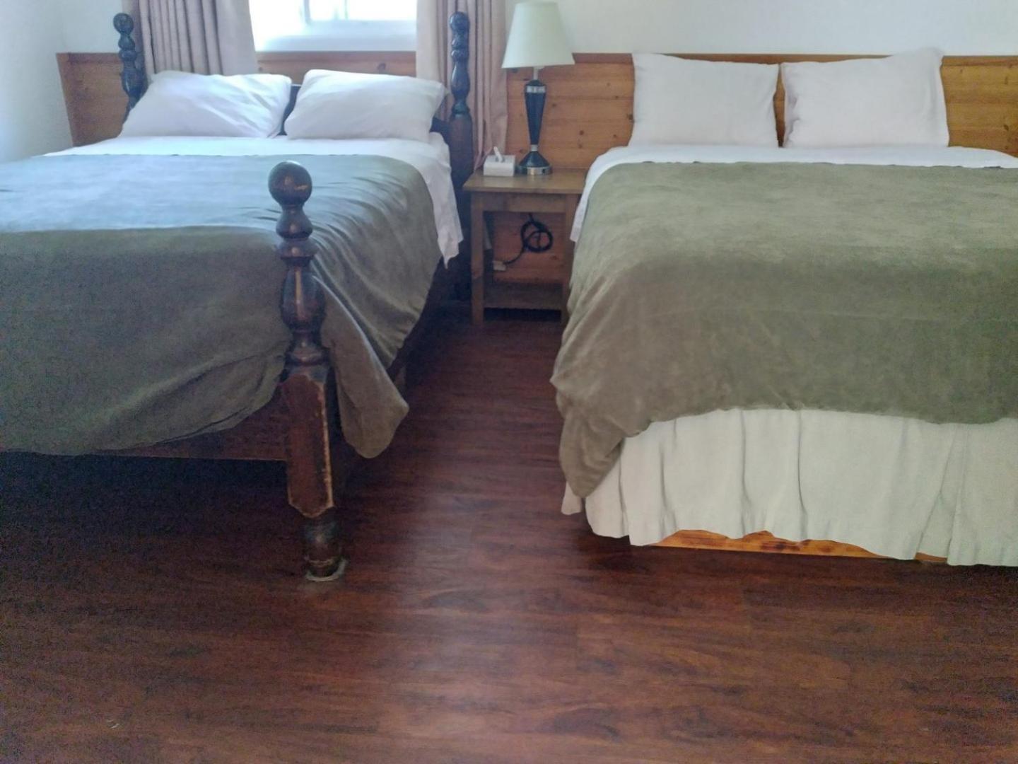 Dolphin Motel Tofino Bagian luar foto