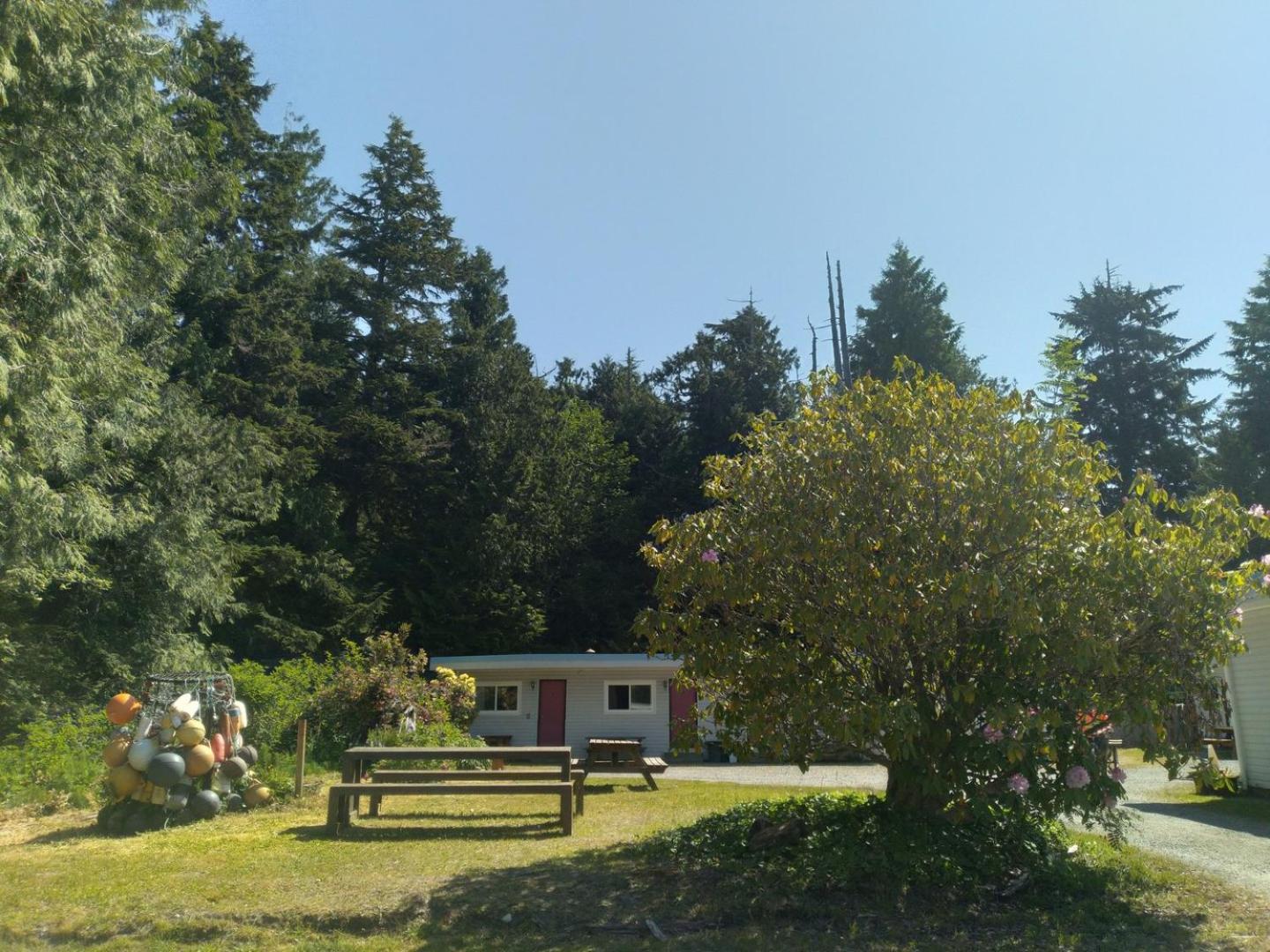 Dolphin Motel Tofino Bagian luar foto